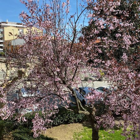 Apartamento Dacosta Пласенсия Екстериор снимка