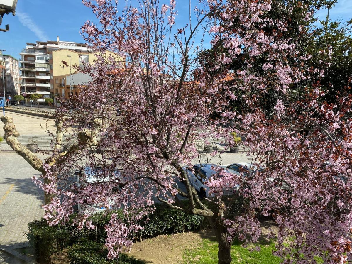 Apartamento Dacosta Пласенсия Екстериор снимка